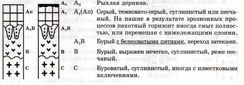 Курсовая Работа На Тему По Агрохимии Курсовая Работа На Тему По Агрохимии