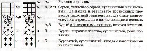 Курсовая работа по теме Повышение плодородия глинистой почвы, применение удобрений в полевом севообороте