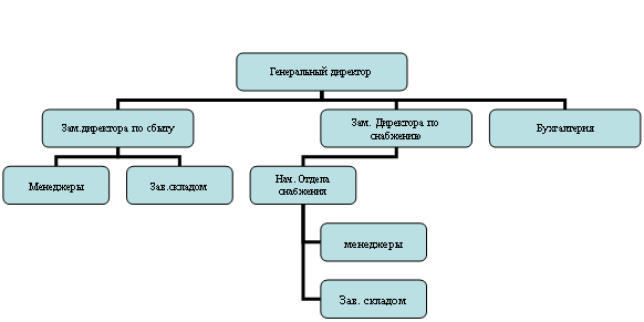 Контрольная работа: Принципы статической организации. Организационные структуры