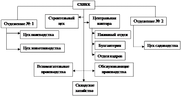 Реферат: Отчет о прохождении практики по бухучету в СХПК Кочетовский Мичуринского района Тамбовской облас